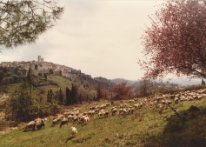 St Paul de Vence