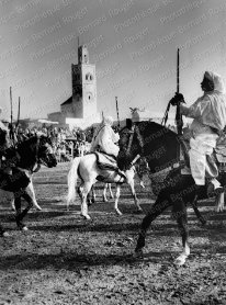 Moussem de Moulay Abdallah, qui se tenait au mois d'août à quelques kilomètres d'El Jadida sur l'ancienne ville de Tit. 1942.