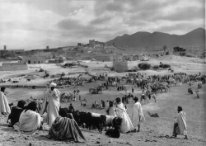 Goulimine 1953. Marché aux chameaux.