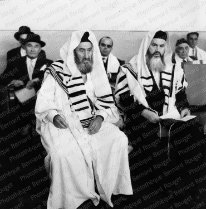 Rabbins Rabbins