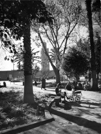 La koutoubia à Marrakech, circa 1950.