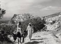 Moulay Idriss