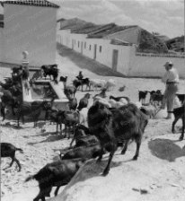 Baylen Photothèque Bernard Rouget / © ADAGP Paris