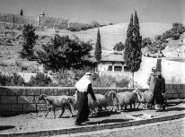 Jérusalem Jordanie (Israël), 1960